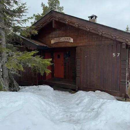 Hytte I Tuddal Hjartdal